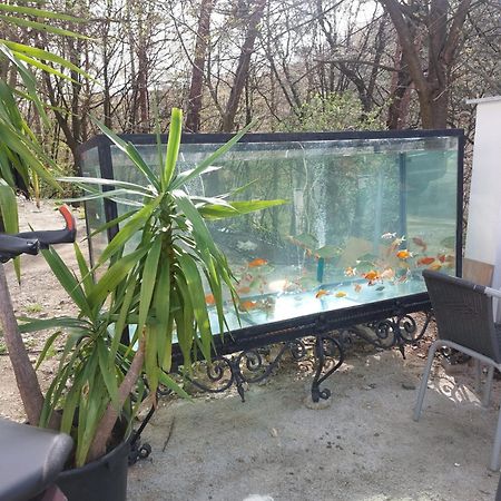 Gaestehaus Coco Krems an der Donau Luaran gambar
